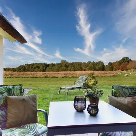 Kohlmeise 28 Im Wreecher Idyll Ruegen By Ruyastay * بوتبوس