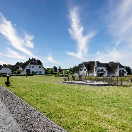 Kohlmeise 28 Im Wreecher Idyll Ruegen By Ruyastay * بوتبوس