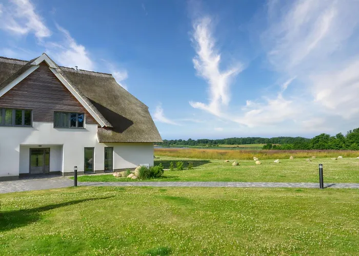 Kohlmeise 28 Im Wreecher Idyll Ruegen By Ruyastay بوتبوس