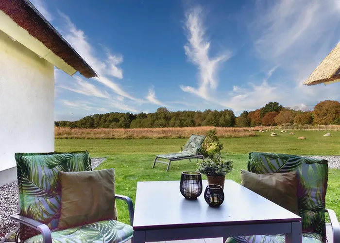 Kohlmeise 28 Im Wreecher Idyll Ruegen By Ruyastay * بوتبوس