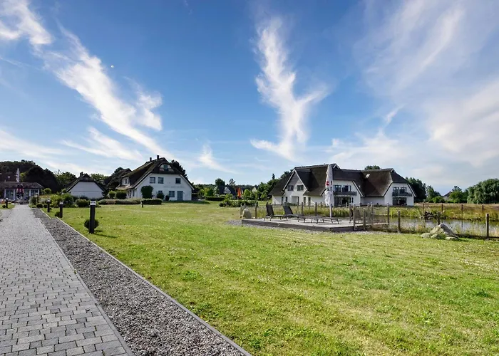 Kohlmeise 28 Im Wreecher Idyll Ruegen By Ruyastay * بوتبوس